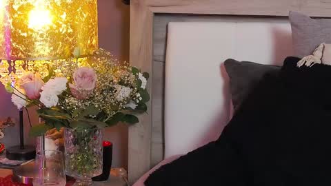 Snapshot of addictivesin chatting on 01.08.25 GAbby----Onlyfans online show from 01.08.25