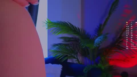 Afelia online show from 03.08.26