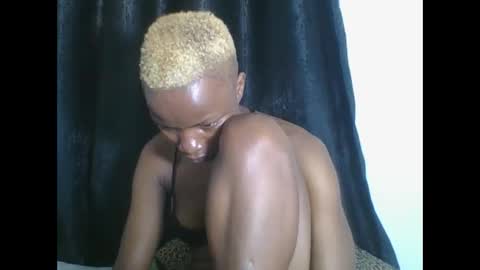 PHOEBE online show from 01.19.26