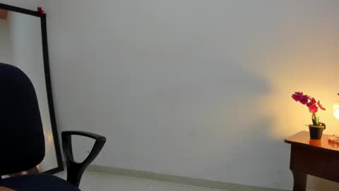 Snapshot of afrodita3123 chatting on 02.26.25 Lorena online show from 02.26.25