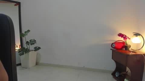 Snapshot of afrodita3123 chatting on 11.07.25 Lorena online show from 11.07.25