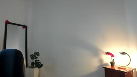 Snapshot of afrodita3123 chatting on 12.01.25 Lorena online show from 12.01.25