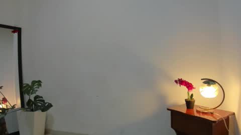 Snapshot of afrodita3123 chatting on 12.03.25 Lorena online show from 12.03.25