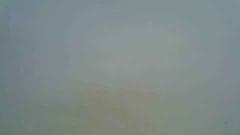 afronubians online show from 03.05.25