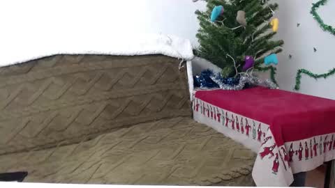 Agatha online show from 01.04.25