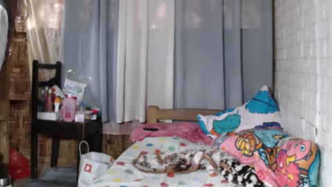 Markii online show from 12.31.24