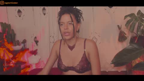 agnetism online show from 12.26.24