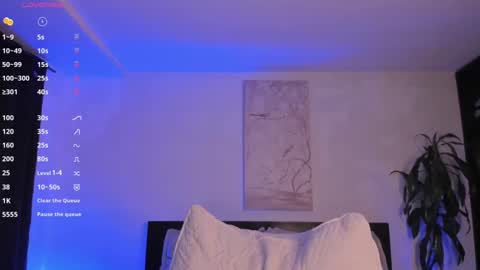 A H  online show from 02.08.25