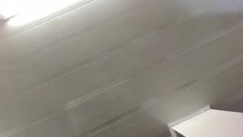 Maeve  online show from 12.29.24