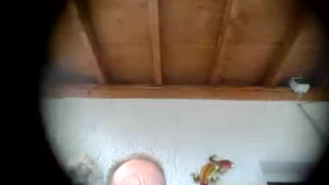 Snapshot of alebrusa chatting on 07.16.26 Alebrusa online show from 07.16.26