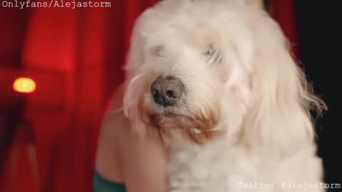 Alejandra online show from 02.26.26