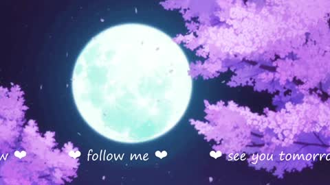     online show from 12.19.24