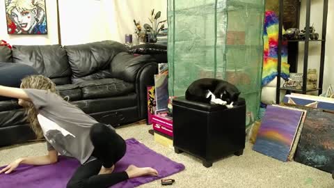 Alexa  GW online show from 12.17.24