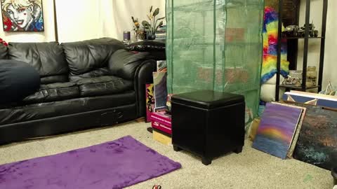 Alexa  GW online show from 12.18.24