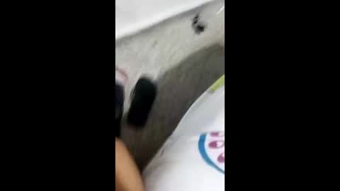 Alexamdergal online show from 01.09.25