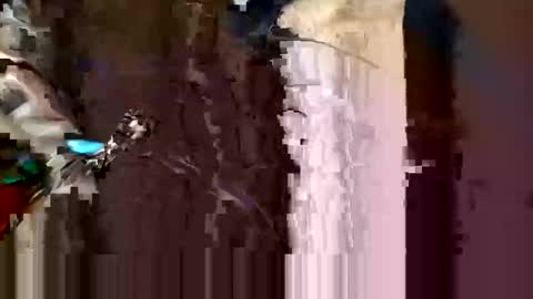 alexey932 online show from 11.10.25