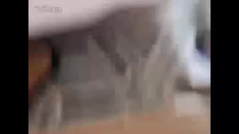 alexhotdevill online show from 02.22.26