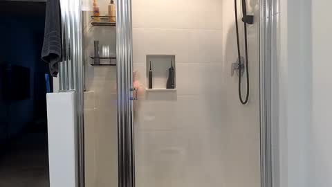 Alexi online show from 01.09.25