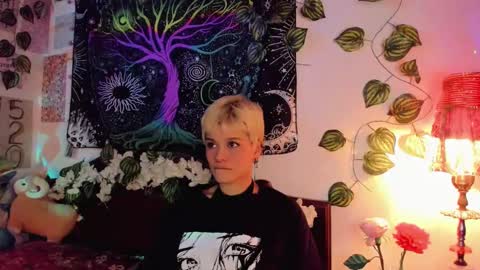 Alex online show from 02.07.25