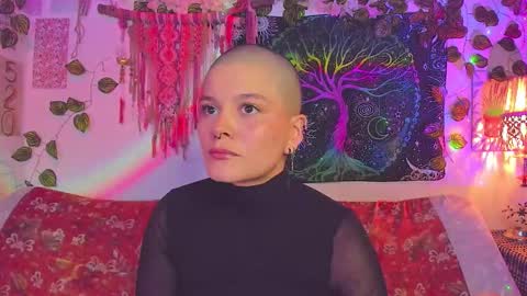 Alex online show from 01.14.26