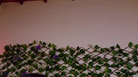 alice_rous21 online show from 10.23.25