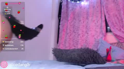 Alice  online show from 12.15.24