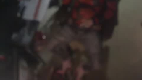 aliceleemcgee online show from 02.22.26