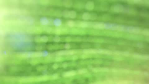 Snapshot of alicia_carr chatting on 10.23.25 Alicia online show from 10.23.25