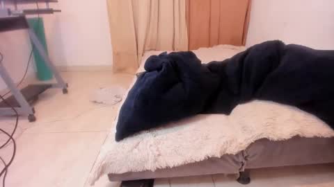 Snapshot of aliciapalmer19 chatting on 02.07.25 Alis 3 independent model 3 online show from 02.07.25