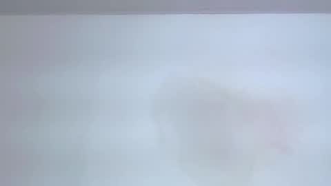     online show from 09.11.25