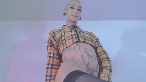     online show from 02.11.26