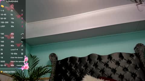 Alice online show from 12.15.24