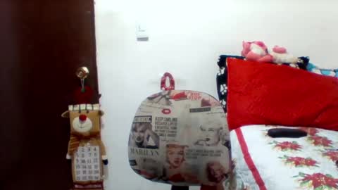 Snapshot of alisson_brand chatting on 12.30.24 alisson brand online show from 12.30.24