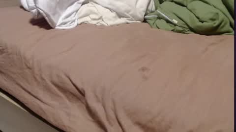 Alissonnat online show from 03.11.25