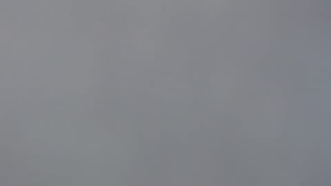 aliuno12345678 online show from 12.29.24