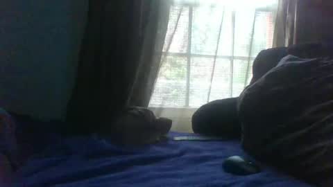 Snapshot of allbermy chatting on 02.23.25 allbermy online show from 02.23.25