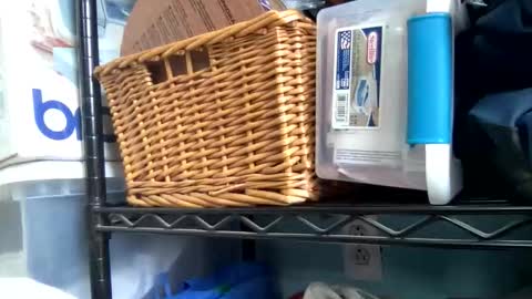 allyanalangel online show from 01.05.26