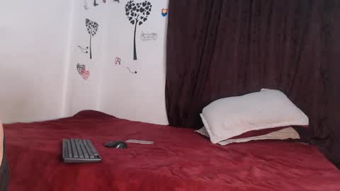 Snapshot of allyka_transsm chatting on 04.19.26 Allyka online show from 04.19.26