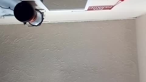 Snapshot of almightyjesos chatting on 10.30.25 almightyjesos online show from 10.30.25