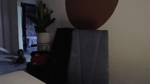 Snapshot of alogenotwink chatting on 12.17.25 STEPHAN online show from 12.17.25