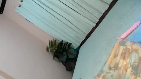 LEXY online show from 02.02.25