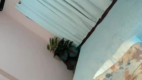 LEXY online show from 02.04.25