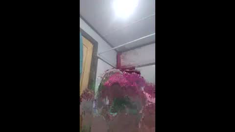already0101 online show from 06.08.26