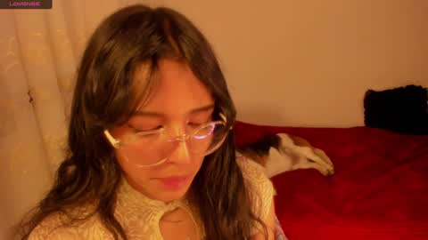 . .  online show from 01.01.25