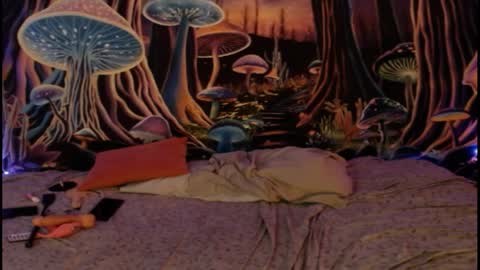 alyssaarcane online show from 04.01.26