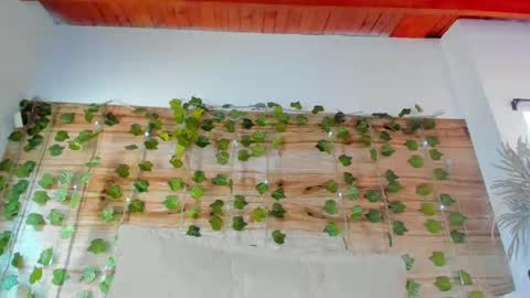 Snapshot of alyssia_oceann chatting on 02.12.25 alyssia online show from 02.12.25