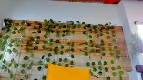 Snapshot of alyssia_oceann chatting on 02.18.25 alyssia online show from 02.18.25