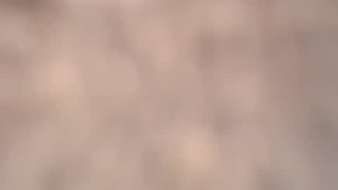 Snapshot of amadamar chatting on 03.06.26 valentia online show from 03.06.26
