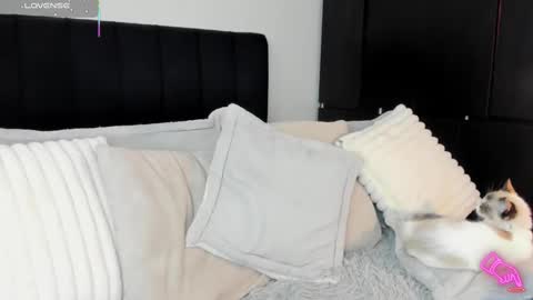 -  A M A R A - online show from 02.13.25