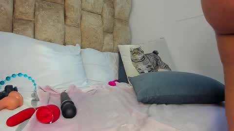 AMATISTA online show from 11.12.25